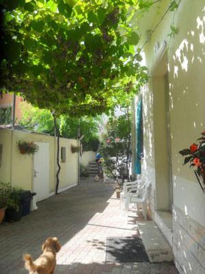 Albergo Villa-Brandi --- Pensione Completa --- Bellaria-Igea Marina Ngoại thất bức ảnh